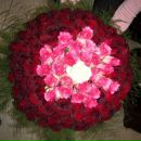 Русалина Єзебчук фотография #20 (источник - https://vk.com/id167316310)