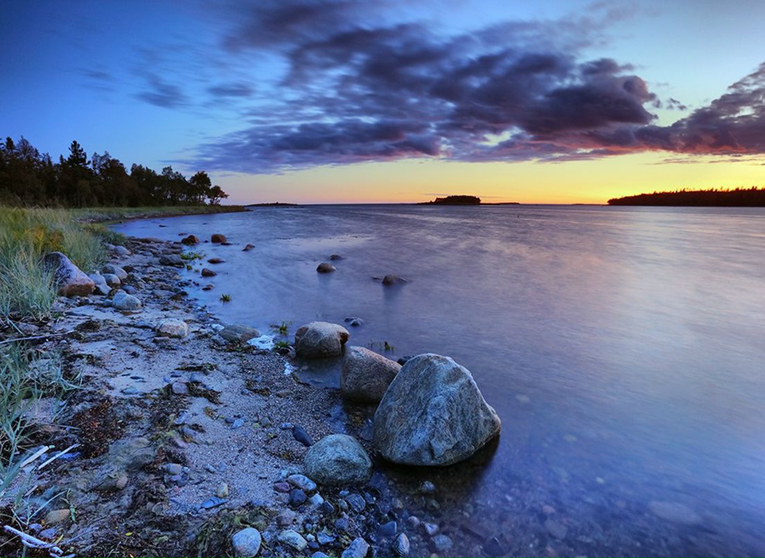 Дмитрий Модестов фотография #37