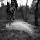 Фотография Кириковой Виктории