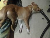 Фотография Райской Юлии