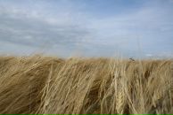 Віктор Мельник фотография #15 (источник - https://vk.com/id12737355)