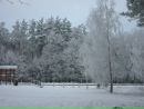 Світлана Вандоляк фотография #2 (источник - https://vk.com/id109406338)