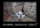 Діма Староверський фотография #22 (источник - https://vk.com/id157273515)