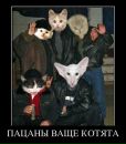 Діма Староверський фотография #21 (источник - https://vk.com/id157273515)