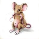 Zac Efron фотография #11 (источник - https://vk.com/id32622822)