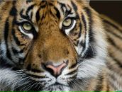 Фотография Чернышова Никиты