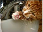 Вовік Халєєв фотография #34 (источник - https://vk.com/id35009331)