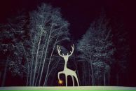 Фотография Варворкина Саши