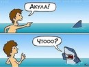 Степан Боєчко фотография #36 (источник - https://vk.com/id115283687)