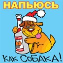 Діма Говзан фотография #4 (источник - https://vk.com/id144380191)