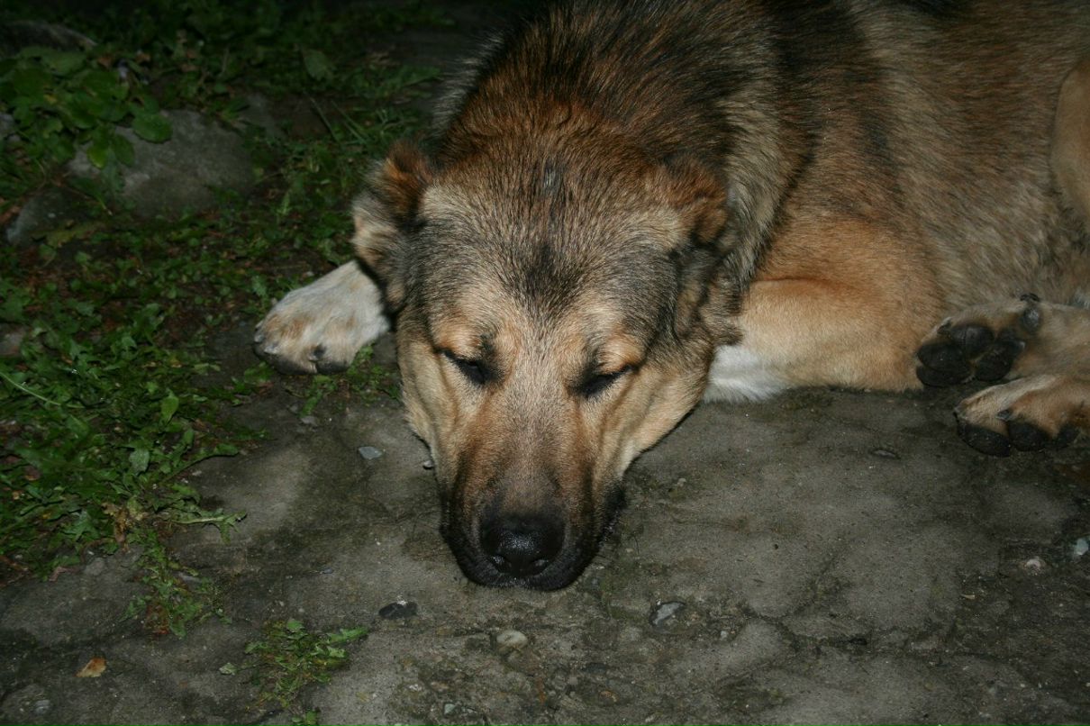 Айтек Цамакаев фотография #27