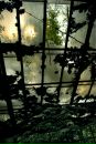 Фотография Новгородова Виктора