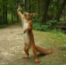 Артур Хайруллин фотография #25 (источник - https://vk.com/id4701778)