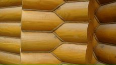 Иван Шапкин фотография #24 (источник - https://vk.com/id768574)