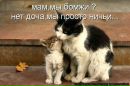 Сергій Лазурко фотография #6 (источник - https://vk.com/id25738343)