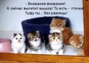Іруська Тестевич фотография #4 (источник - https://vk.com/id134337550)