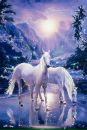 Дарья Сайдак фотография #18 (источник - https://vk.com/id163354883)