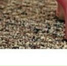 Андріана Шведа фотография #34 (источник - https://vk.com/id138941313)