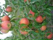 Віталік Гикавий фотография #4 (источник - https://vk.com/id65550734)