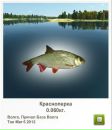 Влад Війтик фотография #37 (источник - https://vk.com/id165470611)