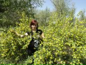 Фотография Никулиной Лидии