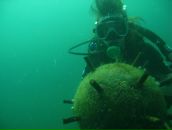 Фотография Рюхиной Людмилы