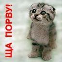 Назарій Боцько фотография #2 (источник - https://vk.com/id170080580)