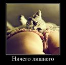 Фотография Дадакина Михаила