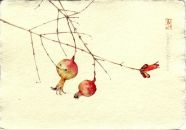 Фотография Бачуриной Натальи