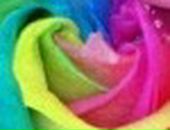 Ніка Iванцу фотография #46 (источник - https://vk.com/id133835577)