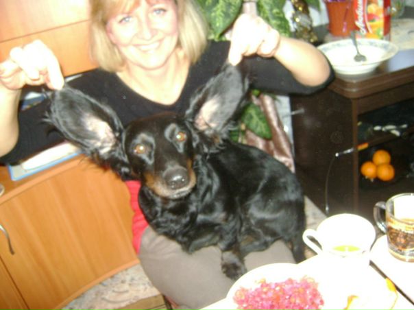 №16, Таня Гертель №16, Таня Гертель