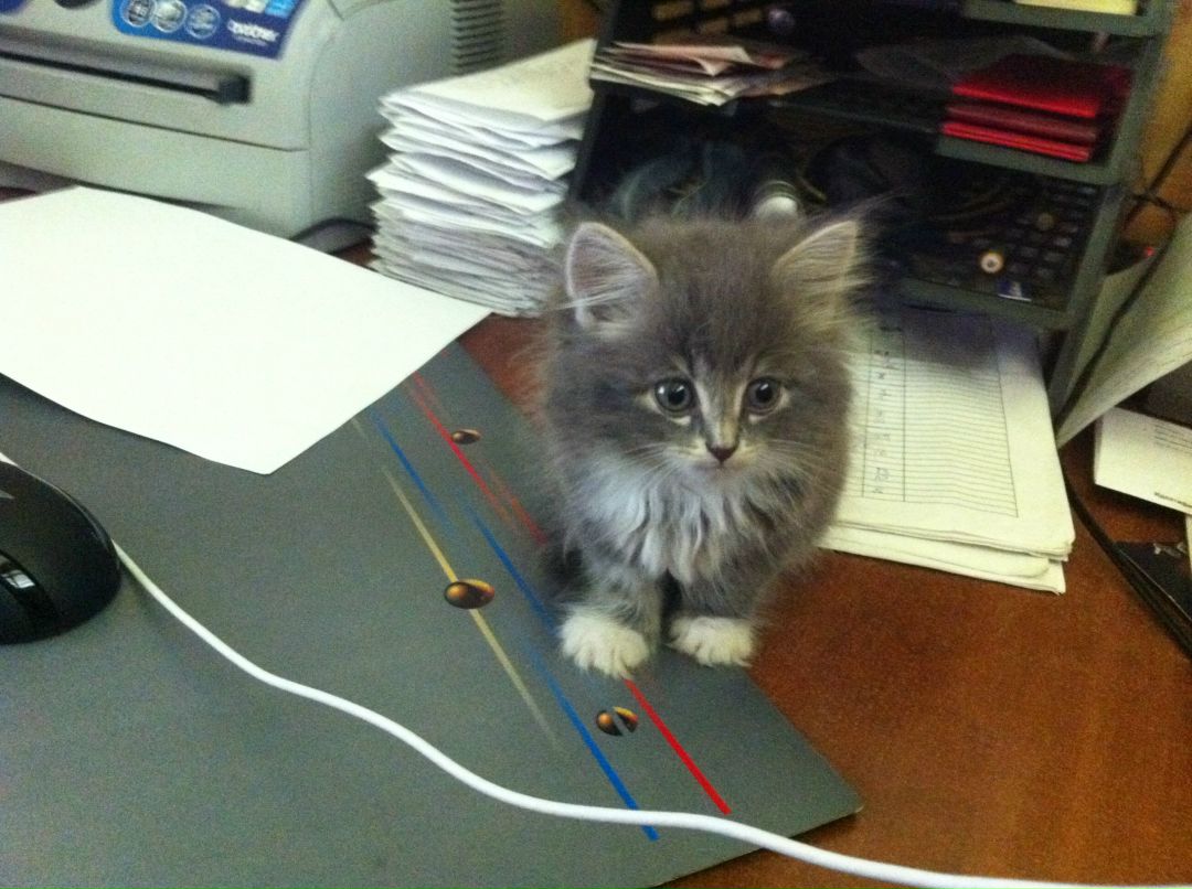 Дмитрий Гор фотография #14