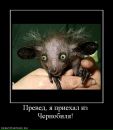 Роман Багрій фотография #34 (источник - https://vk.com/id116366204)