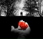 Engin Önder фотография #33 (источник - https://vk.com/id98239265)