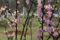 Viktoria Barabanova фотография #14 (источник - https://vk.com/id3774708)