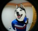 Аліночка Володкевич фотография #2 (источник - https://vk.com/id163495011)