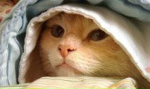 Фотография Постновой Алёны