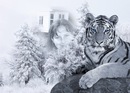 Ліка Рогатин фотография #41 (источник - https://vk.com/id153495326)