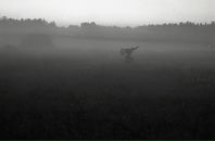 Богдан Огірко фотография #19 (источник - https://vk.com/id16930942)