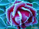 Фотография Меметовой Ольги