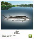 Сергій Незнайко фотография #21 (источник - https://vk.com/id138281469)