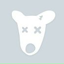 Саша Коломієць фотография #11 (источник - https://vk.com/id186399952)