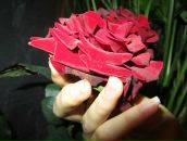 Соломія Бобко фотография #30 (источник - https://vk.com/id29882124)