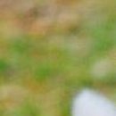 Вєталь Серйозний фотография #42 (источник - https://vk.com/id136859700)