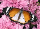 Фотография Блохиной Марины
