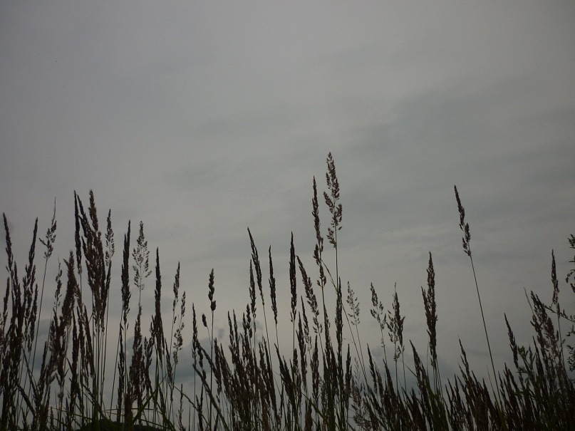 Oleg Bees фотография #22