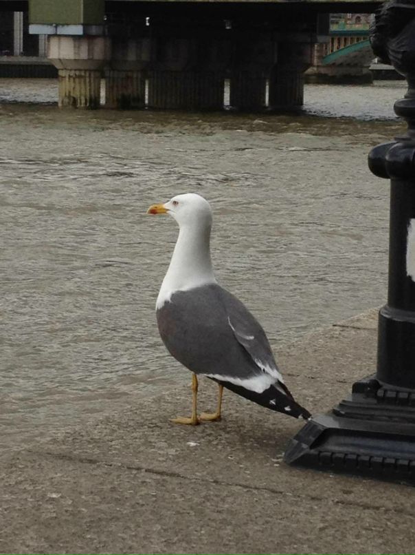 Александр Хундоев фотография #37