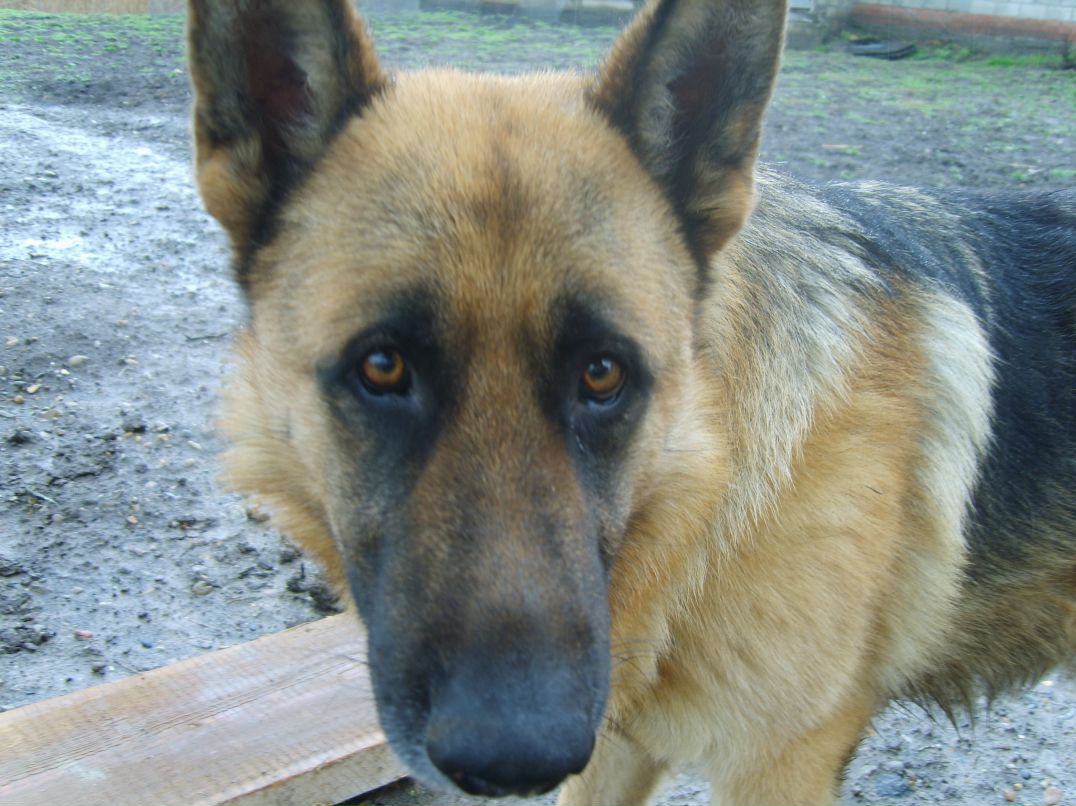 Илья Ильюхин фотография #23