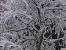 Вікторія Хилюк фотография #8 (источник - https://vk.com/id159437634)