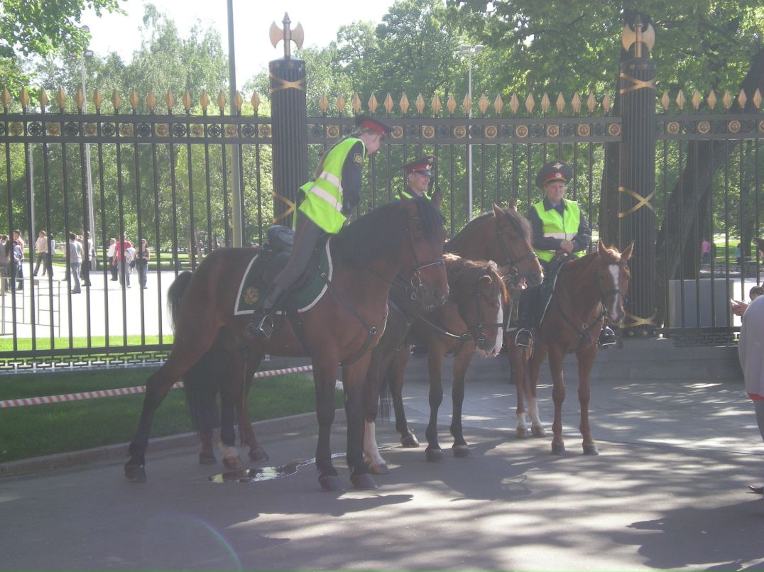 Игорь Левит фотография #17